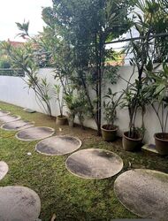 Shamrock Park (D10), Detached #475090931